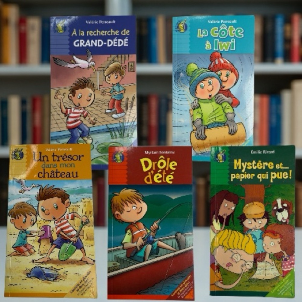 Petits roman illustrer pour jeunes lecteurs